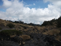 rrente Quarantore-20110911 176